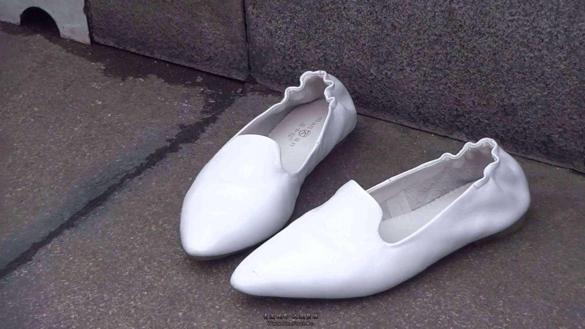 spsp (7)[00_01_40][20260208-075133].png